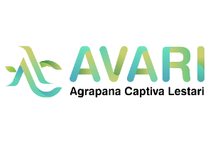 Avari